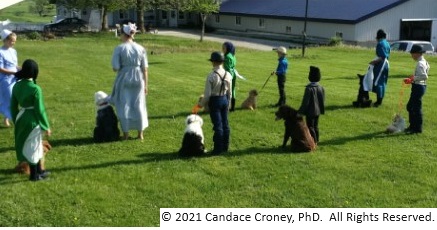 Group of Amish adults and children each with a puppy or dog on a leash stand in rows in a field in a puppy training class